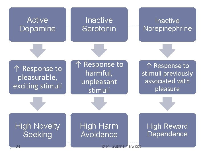 Active Dopamine Inactive Serotonin Inactive Norepinephrine ↑ Response to pleasurable, exciting stimuli ↑ Response