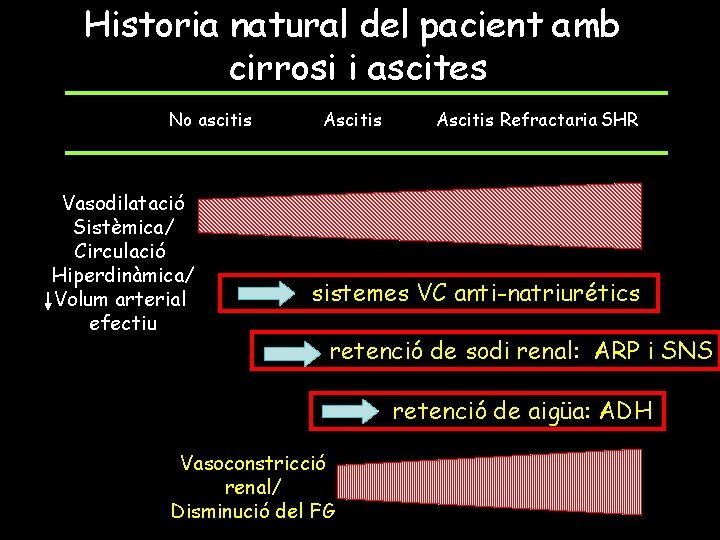 Historia natural del pacient amb cirrosi i ascites No ascitis Vasodilatació Sistèmica/ Circulació Hiperdinàmica/