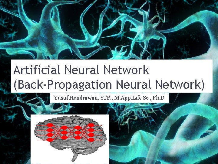 Artificial Neural Network (Back-Propagation Neural Network) Yusuf Hendrawan, STP. , M. App. Life Sc.