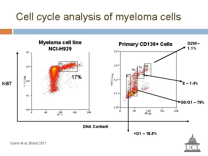 Cell cycle analysis of myeloma cells Myeloma cell line NCI-H 929 Primary CD 138+