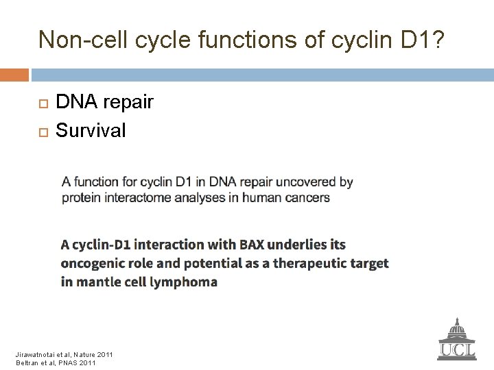 Non-cell cycle functions of cyclin D 1? DNA repair Survival Jirawatnotai et al, Nature