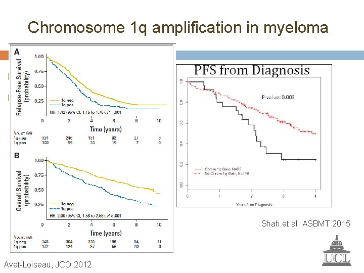 Chromosome 1 q amplification in myeloma Frequency increases with disease progression Associated with shorter
