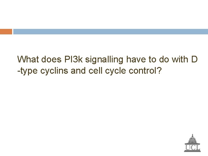 What does PI 3 k signalling have to do with D -type cyclins and