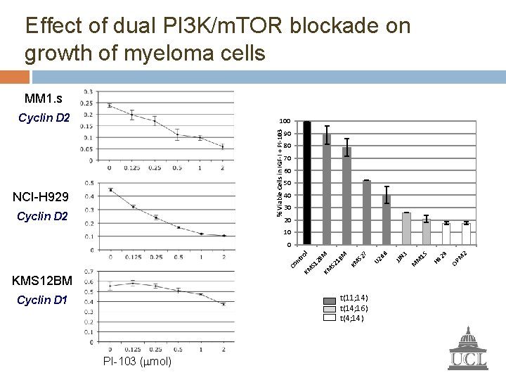 Effect of dual PI 3 K/m. TOR blockade on growth of myeloma cells MM