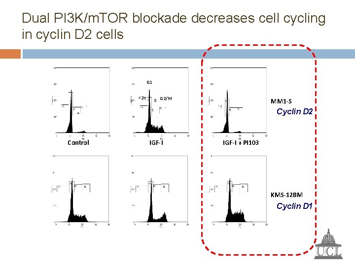 Dual PI 3 K/m. TOR blockade decreases cell cycling in cyclin D 2 cells