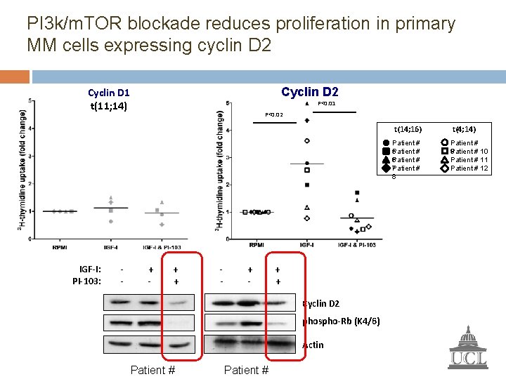 PI 3 k/m. TOR blockade reduces proliferation in primary MM cells expressing cyclin D