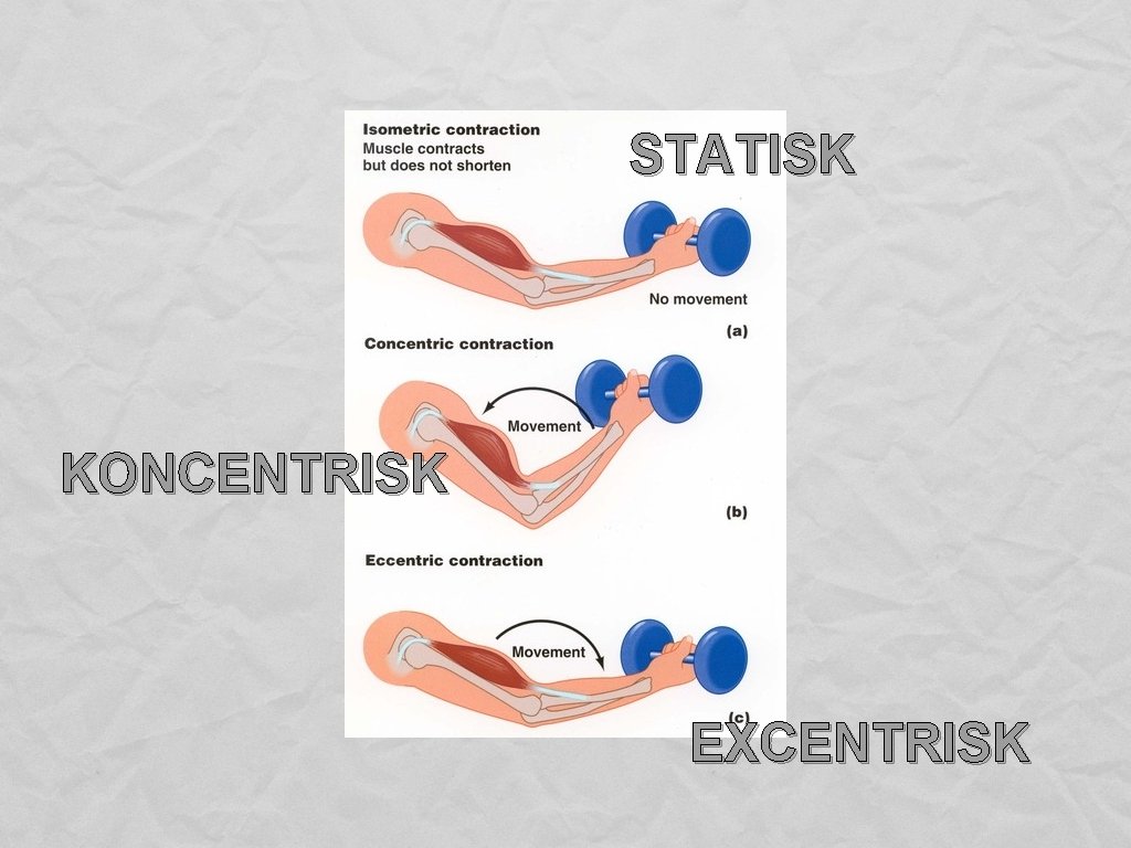 STATISK KONCENTRISK EXCENTRISK 