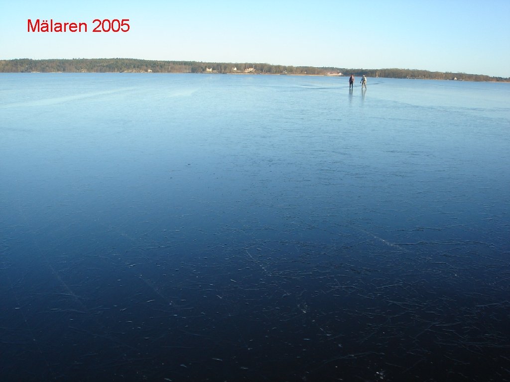 Mälaren 2005 