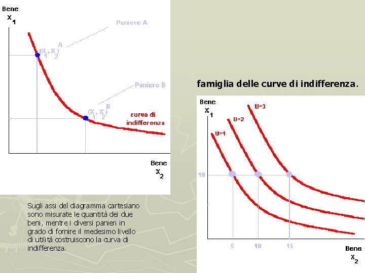 famiglia delle curve di indifferenza. Sugli assi del diagramma cartesiano sono misurate le quantità