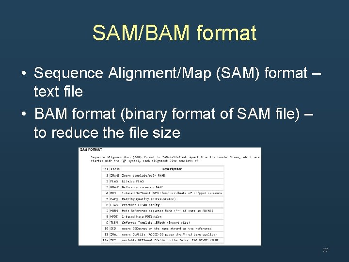 SAM/BAM format • Sequence Alignment/Map (SAM) format – text file • BAM format (binary