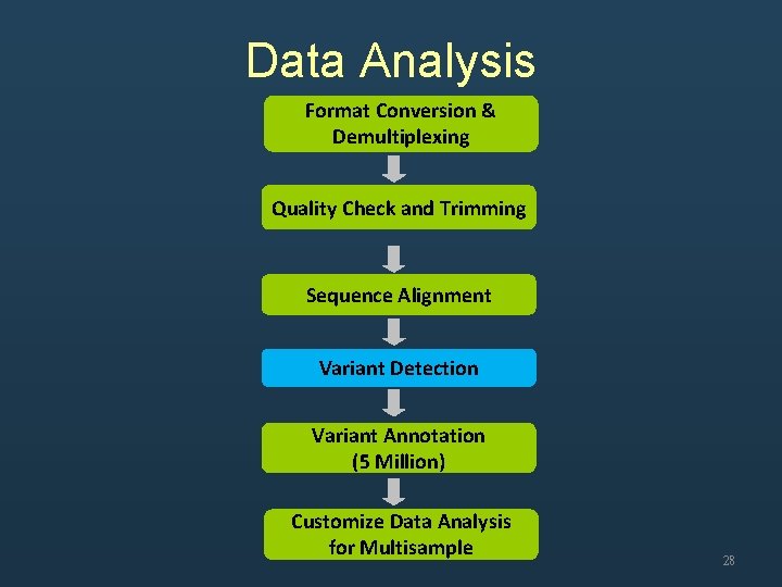 Data Analysis Format Conversion & Demultiplexing Quality Check and Trimming Sequence Alignment Variant Detection