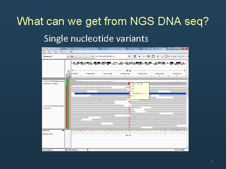 What can we get from NGS DNA seq? Single nucleotide variants 3 