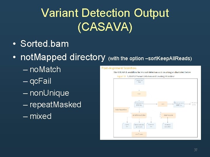 Variant Detection Output (CASAVA) • Sorted. bam • not. Mapped directory (with the option