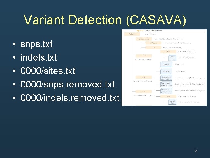 Variant Detection (CASAVA) • • • snps. txt indels. txt 0000/sites. txt 0000/snps. removed.