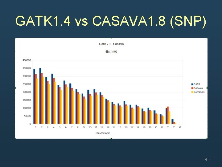 GATK 1. 4 vs CASAVA 1. 8 (SNP) 44 