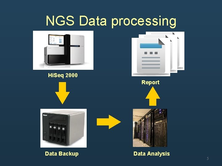 NGS Data processing Hi. Seq 2000 Report Data Backup Data Analysis 5 