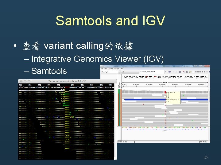 Samtools and IGV • 查看 variant calling的依據 – Integrative Genomics Viewer (IGV) – Samtools
