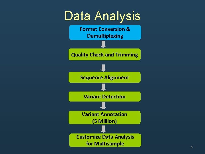 Data Analysis Format Conversion & Demultiplexing Quality Check and Trimming Sequence Alignment Variant Detection