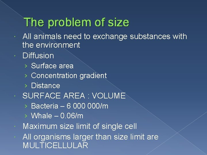 The problem of size All animals need to exchange substances with the environment Diffusion