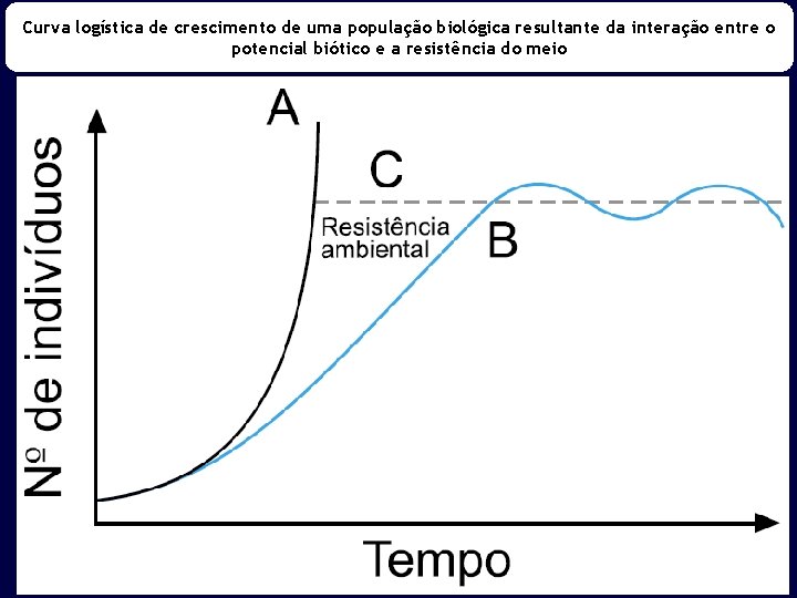 Curva logística de crescimento de uma população biológica resultante da interação entre o potencial