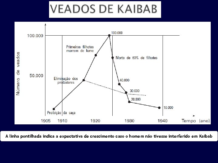 A linha pontilhada indica a expectativa de crescimento caso o homem não tivesse interferido