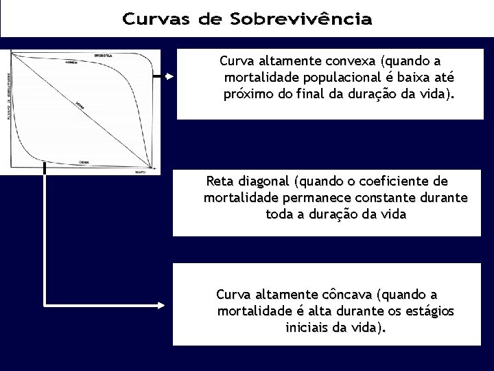 Curva altamente convexa (quando a mortalidade populacional é baixa até próximo do final da