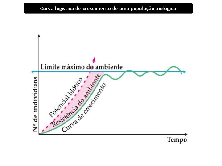 Curva logística de crescimento de uma população biológica 