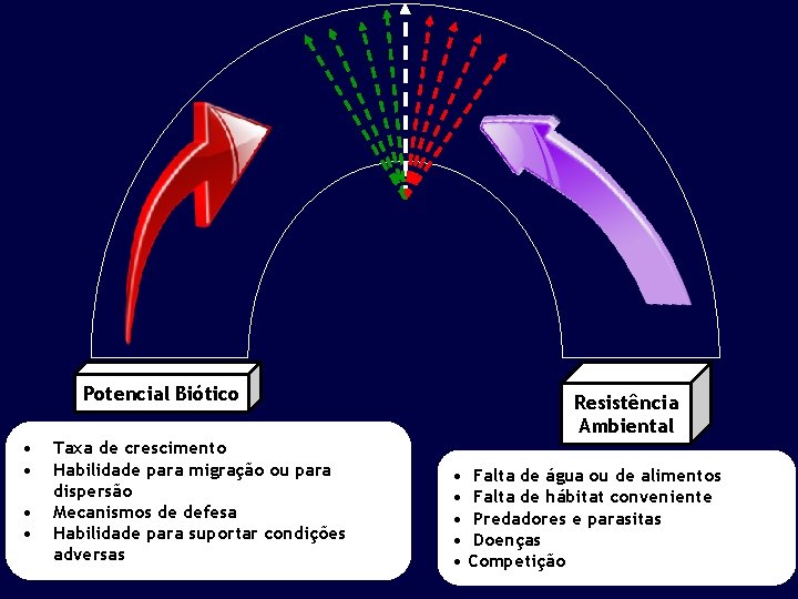 Potencial Biótico • • Taxa de crescimento Habilidade para migração ou para dispersão Mecanismos