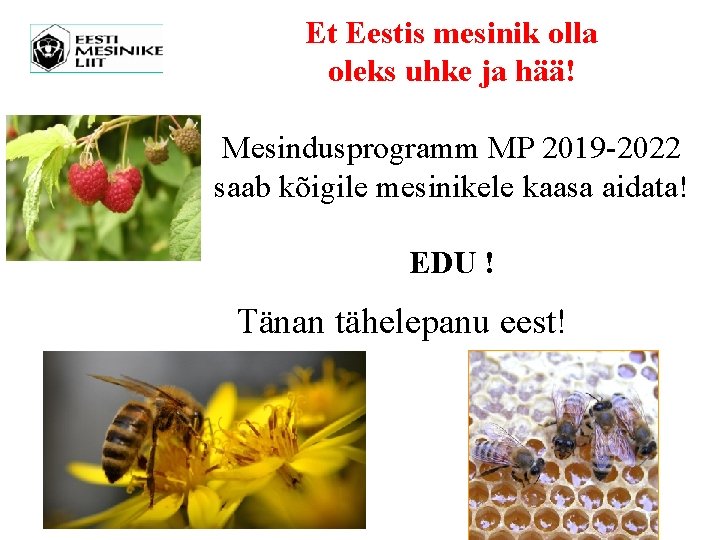 Et Eestis mesinik olla oleks uhke ja hää! Mesindusprogramm MP 2019 -2022 saab kõigile