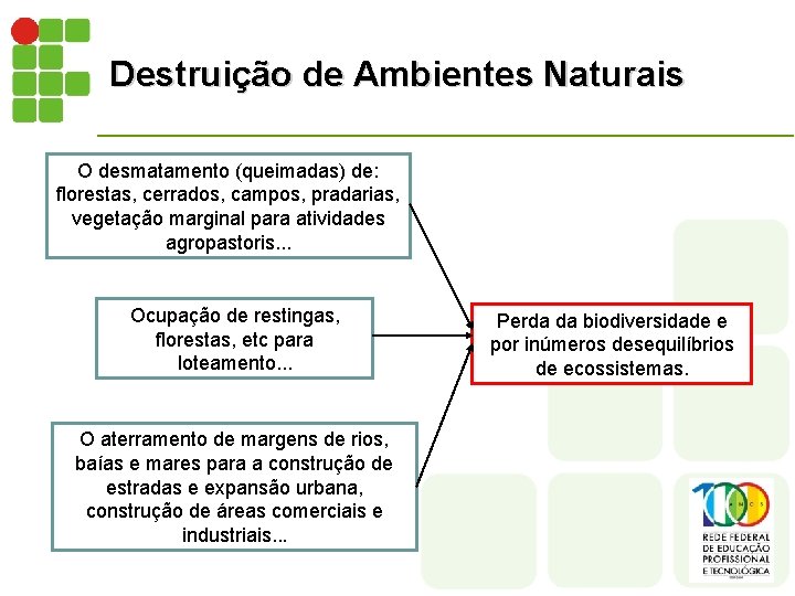 Destruição de Ambientes Naturais O desmatamento (queimadas) de: florestas, cerrados, campos, pradarias, vegetação marginal
