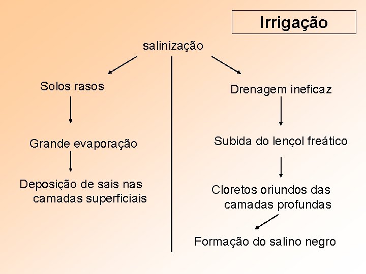 Irrigação salinização Solos rasos Grande evaporação Deposição de sais nas camadas superficiais Drenagem ineficaz