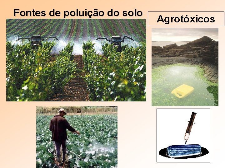 Fontes de poluição do solo Agrotóxicos 