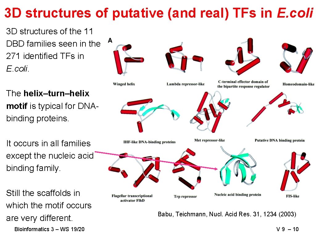 3 D structures of putative (and real) TFs in E. coli 3 D structures