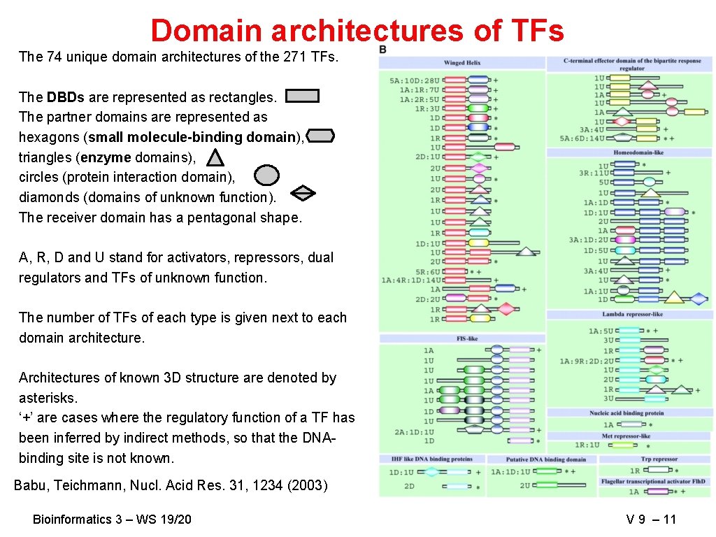 Domain architectures of TFs The 74 unique domain architectures of the 271 TFs. The