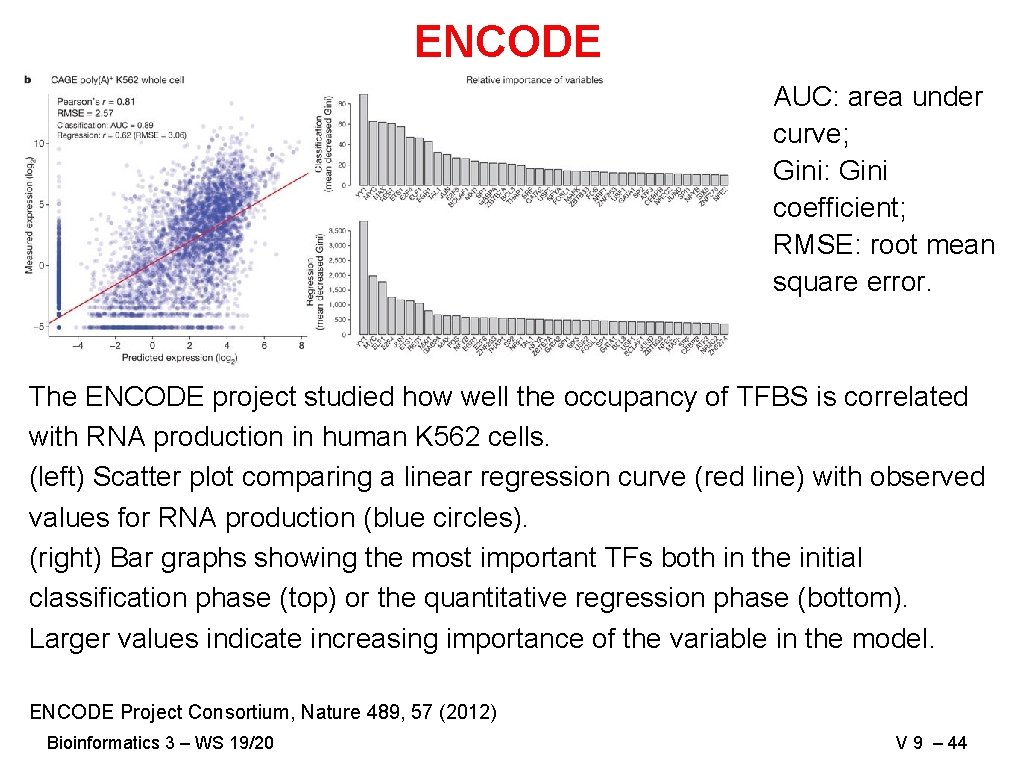ENCODE AUC: area under curve; Gini: Gini coefficient; RMSE: root mean square error. The ENCODE AUC: area under curve; Gini: Gini coefficient; RMSE: root mean square error. The