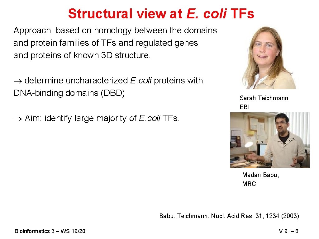 Structural view at E. coli TFs Approach: based on homology between the domains and