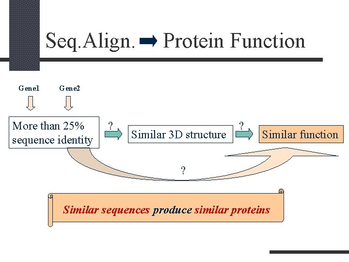 Seq. Align. Gene 1 Protein Function Gene 2 More than 25% sequence identity ?