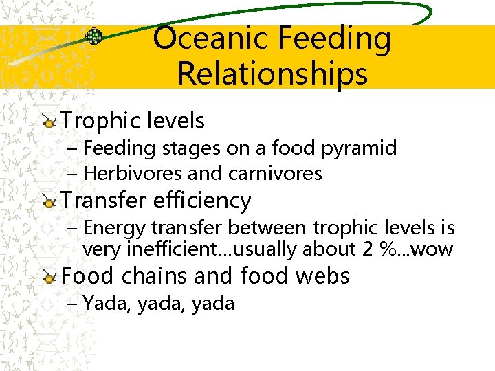 Oceanic Feeding Relationships Trophic levels – Feeding stages on a food pyramid – Herbivores