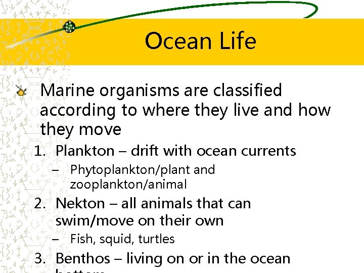 Ocean Life Marine organisms are classified according to where they live and how they