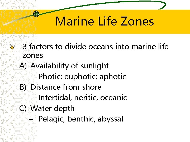 Marine Life Zones 3 factors to divide oceans into marine life zones A) Availability