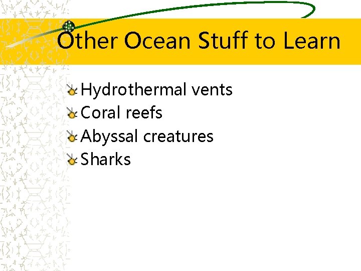 Other Ocean Stuff to Learn Hydrothermal vents Coral reefs Abyssal creatures Sharks 