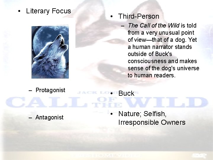  • Literary Focus – Point of View – Protagonist – Antagonist • Third-Person