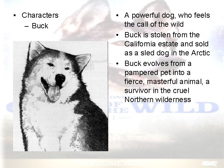  • Characters – Buck • A powerful dog, who feels the call of