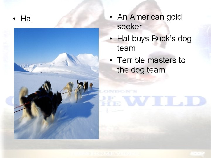  • Hal • An American gold seeker • Hal buys Buck’s dog team