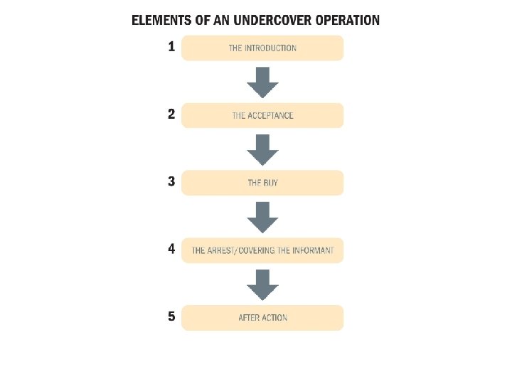 Elements of an Undercover Operation 