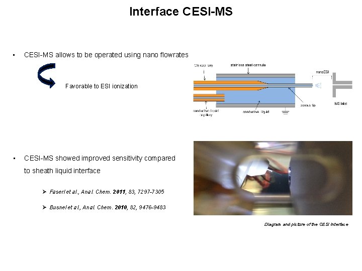 Interface CESI-MS • CESI-MS allows to be operated using nano flowrates Favorable to ESI