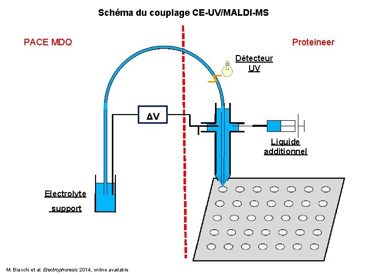 Schéma du couplage CE-UV/MALDI-MS PACE MDQ Proteineer Détecteur UV ΔV Liquide additionnel Electrolyte support