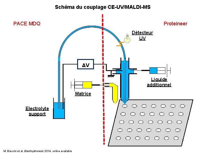 Schéma du couplage CE-UV/MALDI-MS PACE MDQ Proteineer Détecteur UV ΔV Liquide additionnel Matrice Electrolyte
