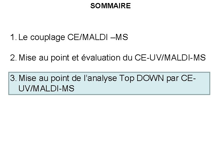 SOMMAIRE 1. Le couplage CE/MALDI –MS 2. Mise au point et évaluation du CE-UV/MALDI-MS