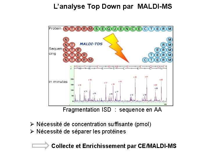 L’analyse Top Down par MALDI-MS Fragmentation ISD : sequence en AA Nécessité de concentration